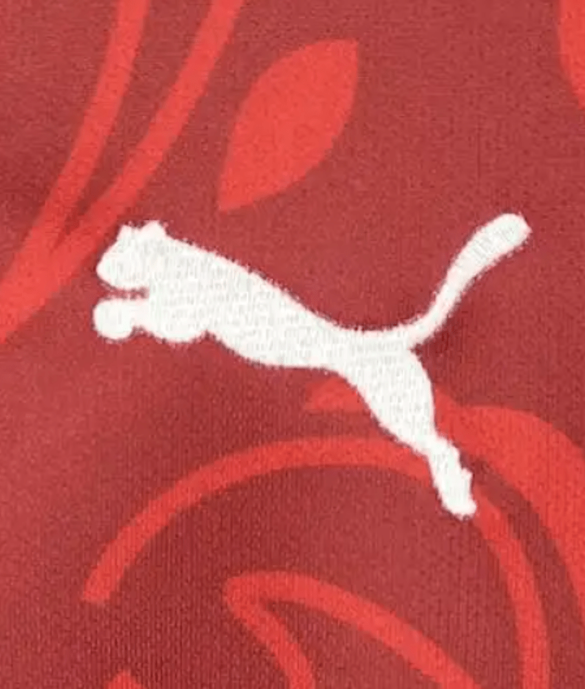 Portugal Trikot 2025 Special Edition