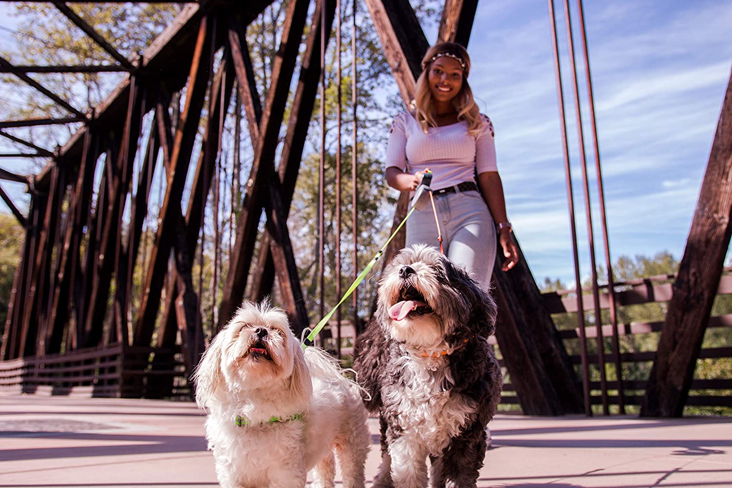 Dual Dog Flexi-Leine