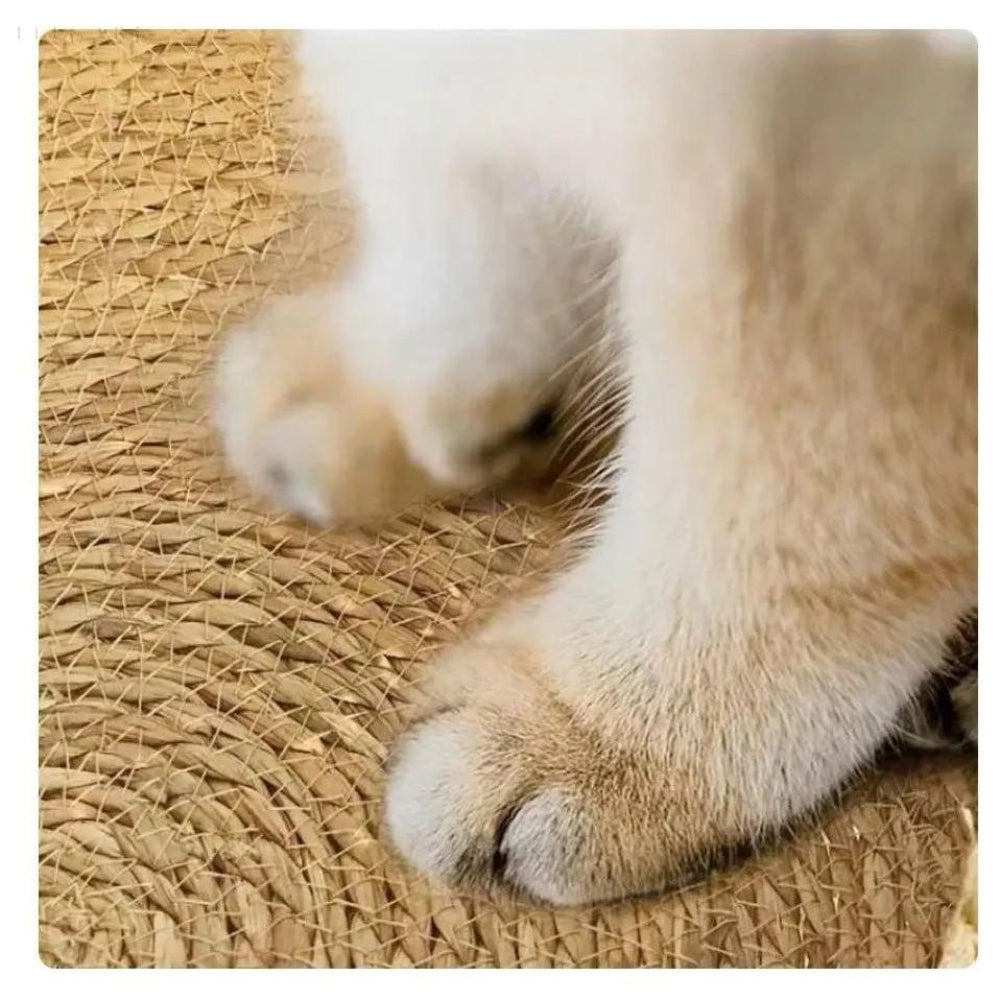 Fluffora - Ultra-blødt kattehule til hyggelig komfort