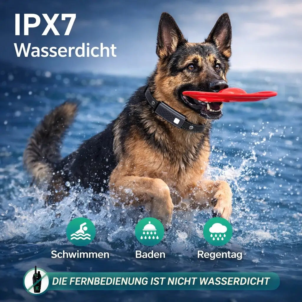 Antibell-Halsband für Hunde | Hundetraining-Halsband mit Fernbedienung | Hundetraining-Halsband | Canivaro