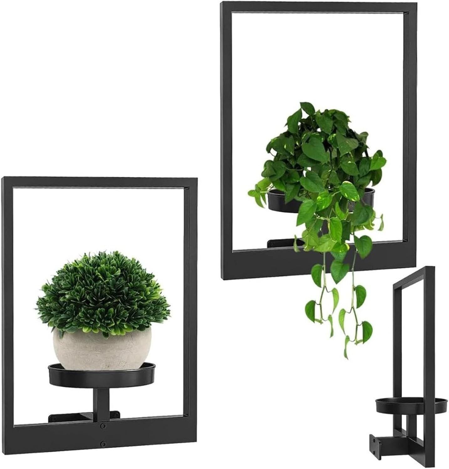 Wall mount for plants | Indoor plant wall | GreenWall