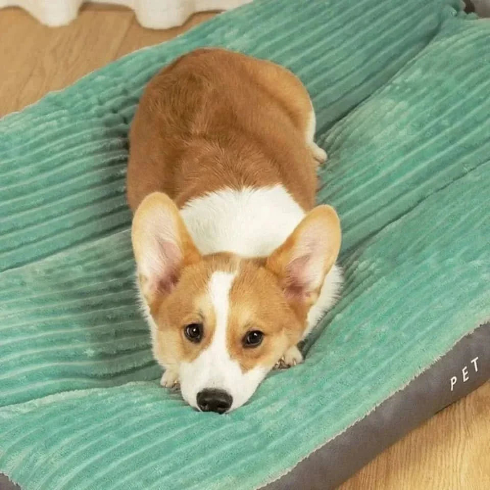 FlauschNest Orthopädisches Hundebett – Kuschelig & Stützend für erholsame Nächte